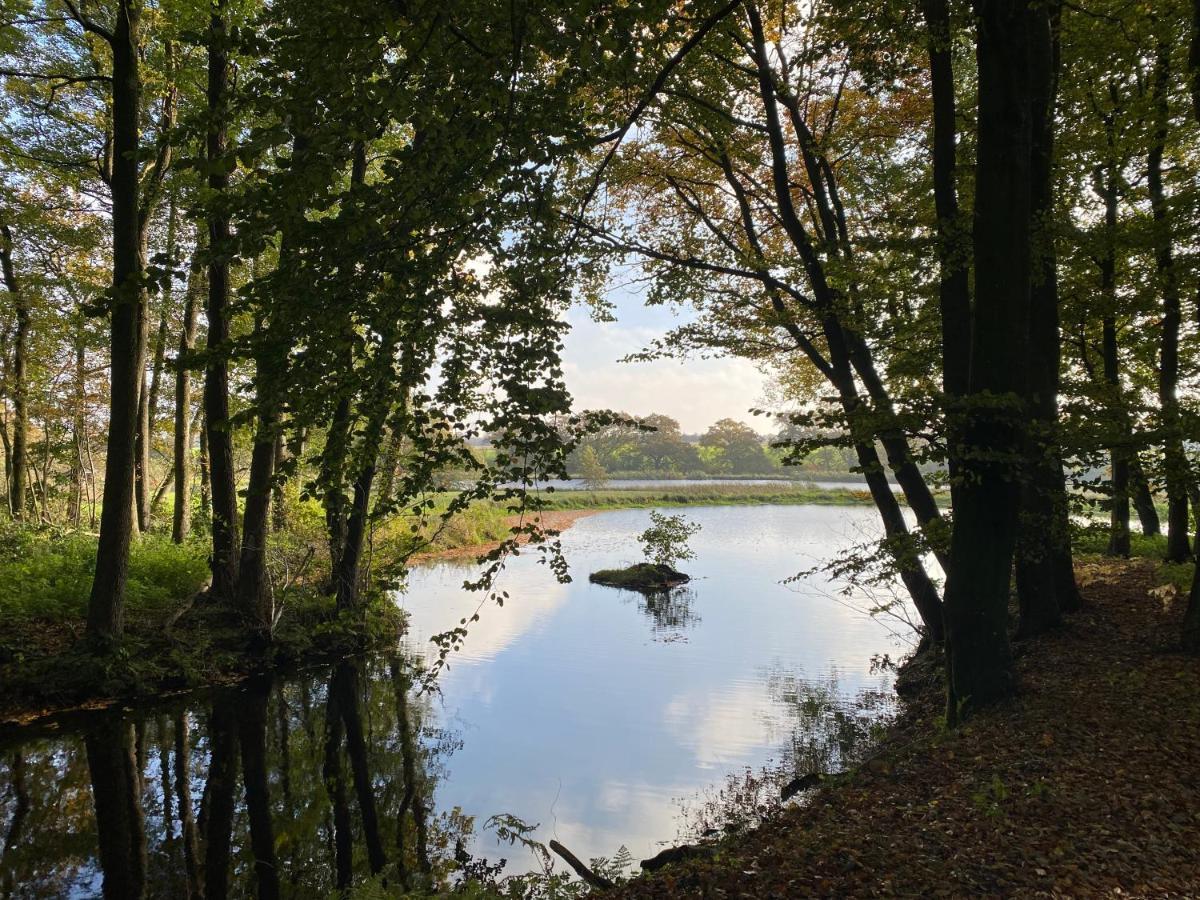 Hyggelig Aftaegtsbolig I Hjertet Af Sonderjylland Branderup Exterior foto